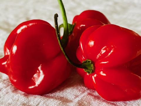 Rote Paprika auf weißer Stoffdecke