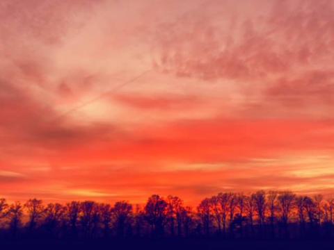 Sonnenuntergang im Winter